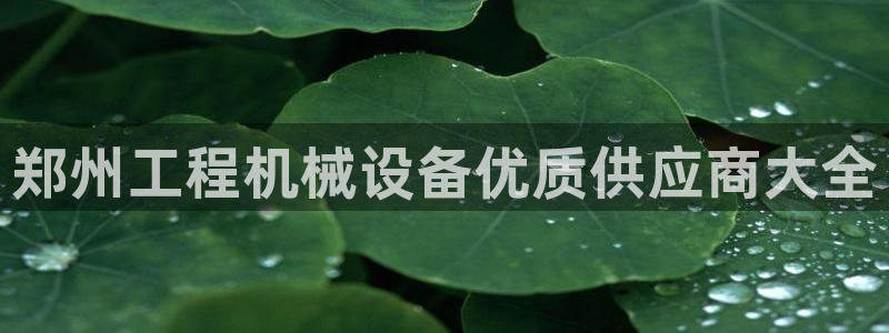 j9九游会黑网