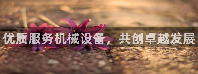 j9九游会体育