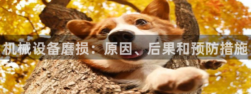 九游会吧