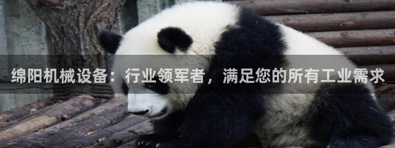 九游会最新网站