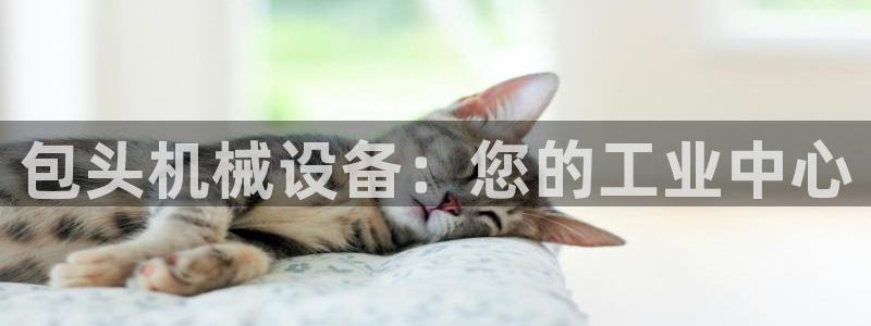 九游会j9