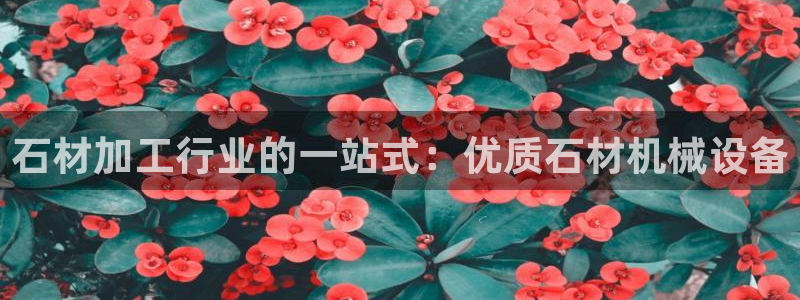 九游会在线官方网站