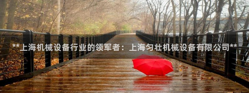 九游会大家觉得怎么样