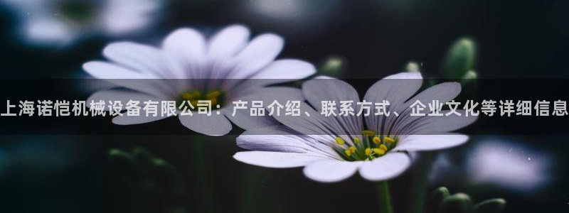 ag九游最新