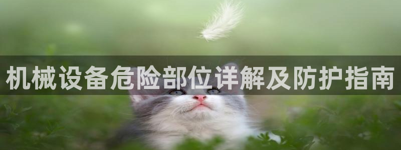 九游会集团正规吗