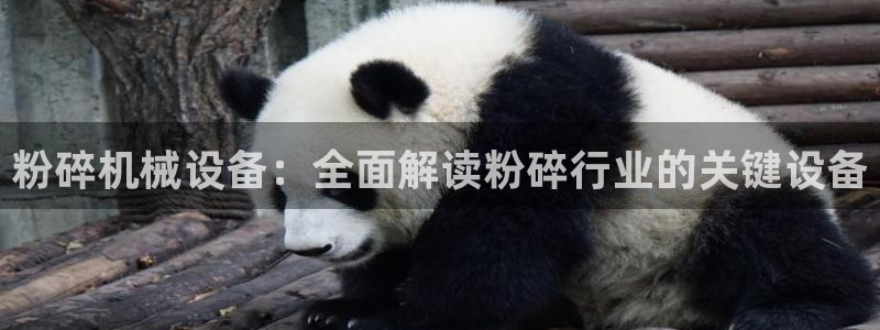 九游会上不去了