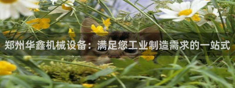 九游会ag真人官网