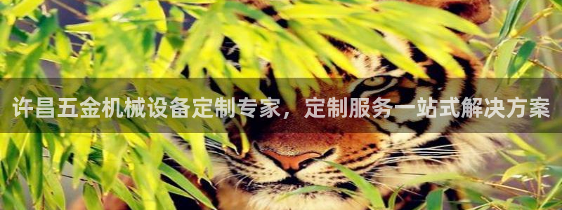 九游会官网网址是多少
