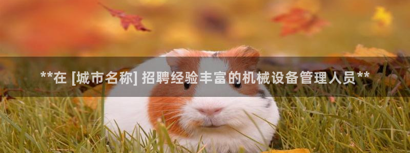 j9九游会官方网站