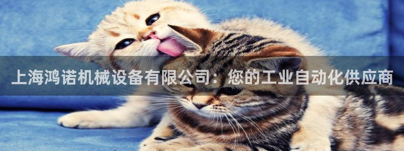 九游会平台网址