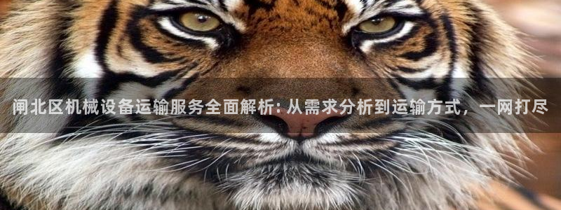 九游会官网真人认证吗安全吗