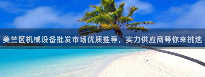 九游会是大平台吗