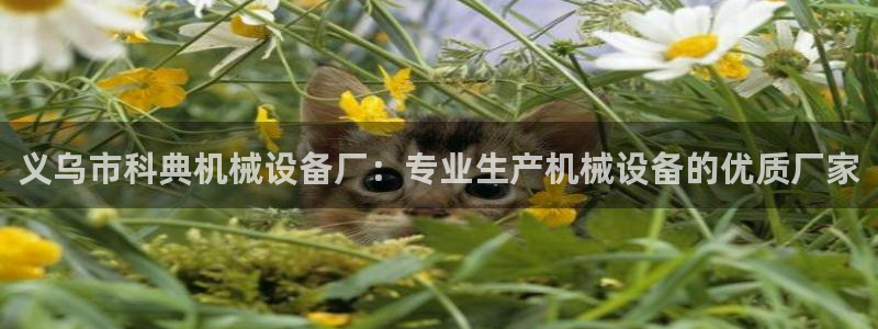 九游会官方正版下载
