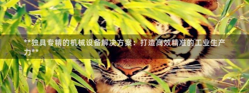 九游会平台网址