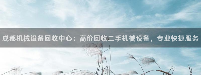 九游会亚洲唯一合作伙伴