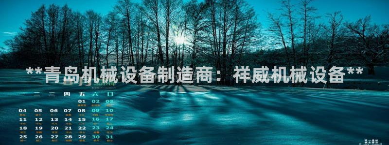九游会网站打不开了