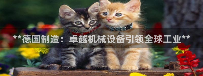 j9p下载