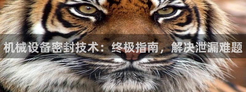 九游会怎么提款