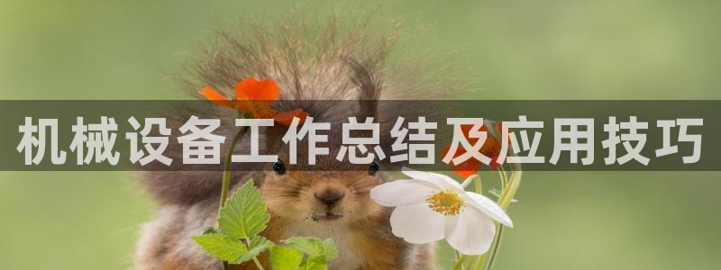 九游会集团正规吗