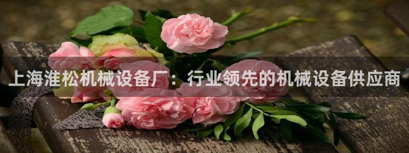 j9九游会官网入口
