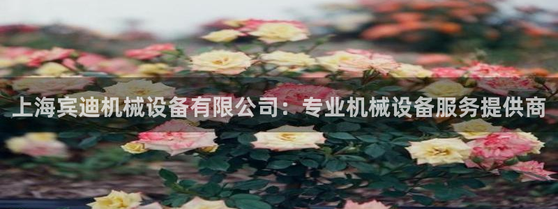 九游会在线官方